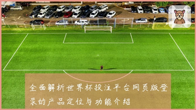 全面解析世界杯投注平台网页版登录的产品定位与功能介绍