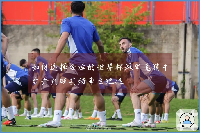 如何选择合适的世界杯冠军竞猜平台并判断其赔率合理性