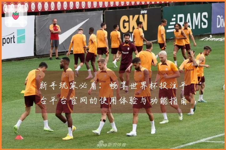 新手玩家必看：畅享世界杯投注平台平台官网的使用体验与功能指南