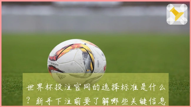 世界杯投注官网的选择标准是什么？新手下注前要了解哪些关键信息？