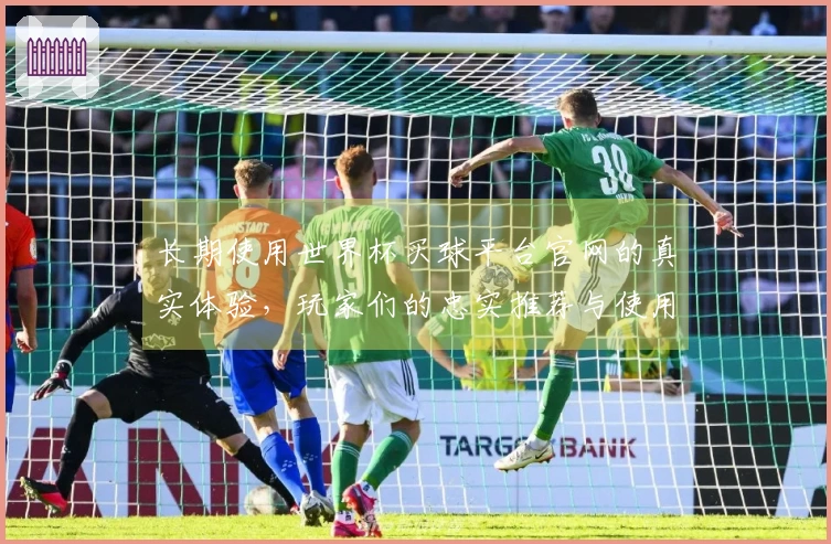 长期使用世界杯买球平台官网的真实体验，玩家们的忠实推荐与使用评测