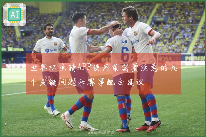 世界杯竞猜APP使用前需要注意的几个关键问题和赛事配合建议