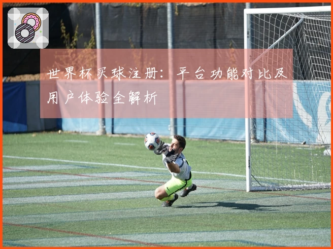 世界杯买球注册：平台功能对比及用户体验全解析