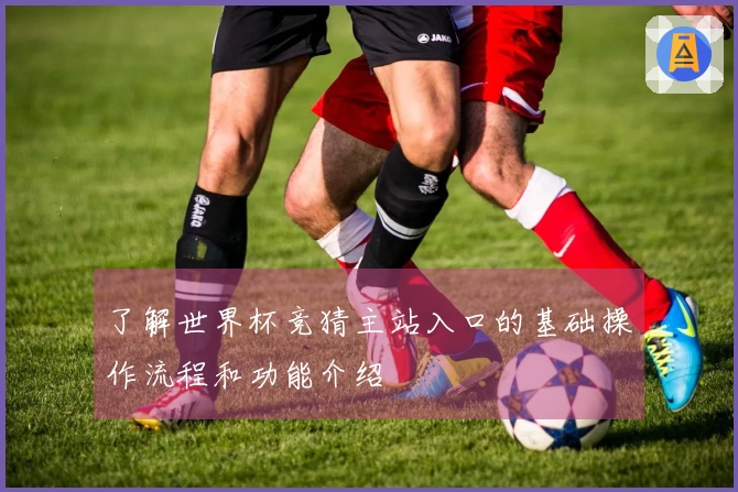 了解世界杯竞猜主站入口的基础操作流程和功能介绍