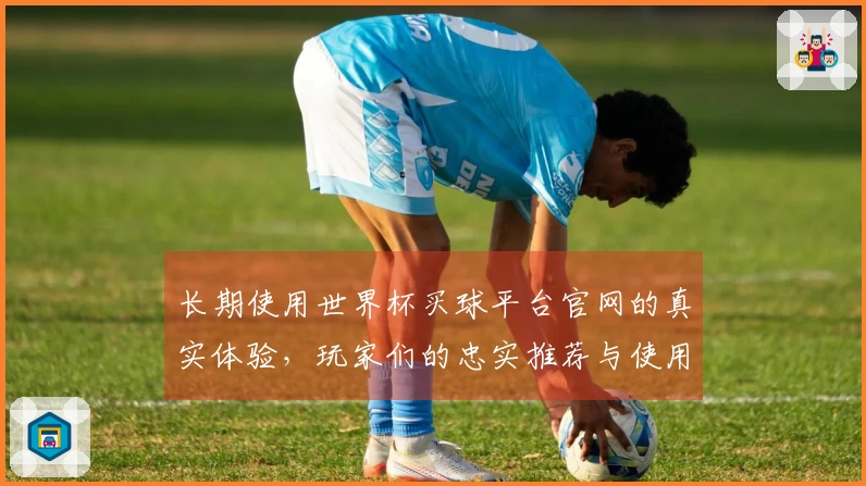 长期使用世界杯买球平台官网的真实体验，玩家们的忠实推荐与使用评测