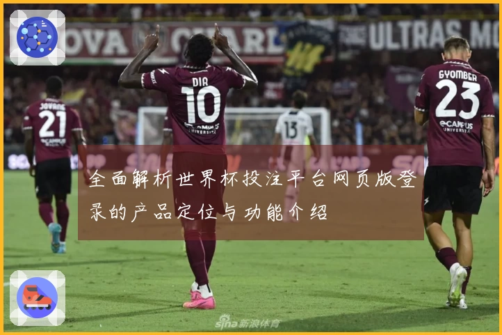 全面解析世界杯投注平台网页版登录的产品定位与功能介绍