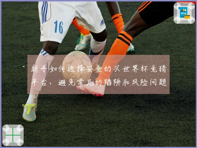 新手如何选择安全的买世界杯竞猜平台，避免常见的陷阱和风险问题