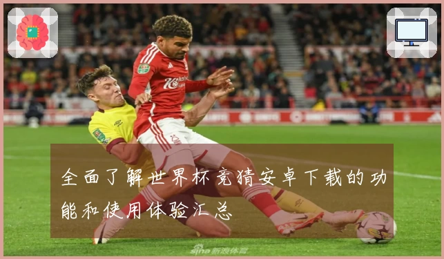 全面了解世界杯竞猜安卓下载的功能和使用体验汇总