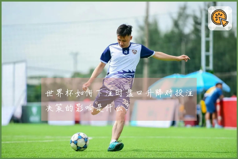 世界杯如何下注时盘口升降对投注决策的影响是什么？