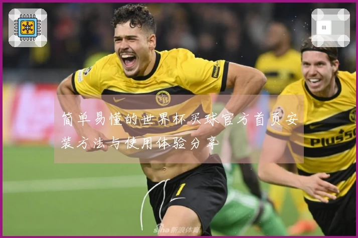 简单易懂的世界杯买球官方首页安装方法与使用体验分享