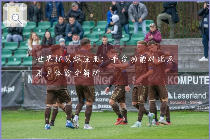 世界杯买球注册：平台功能对比及用户体验全解析