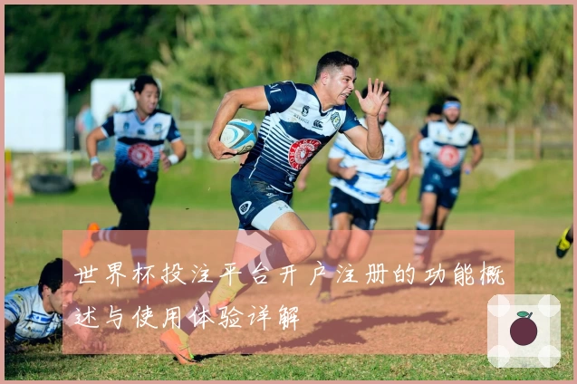 世界杯投注平台开户注册的功能概述与使用体验详解