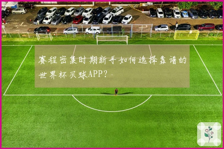赛程密集时期新手如何选择靠谱的世界杯买球APP？