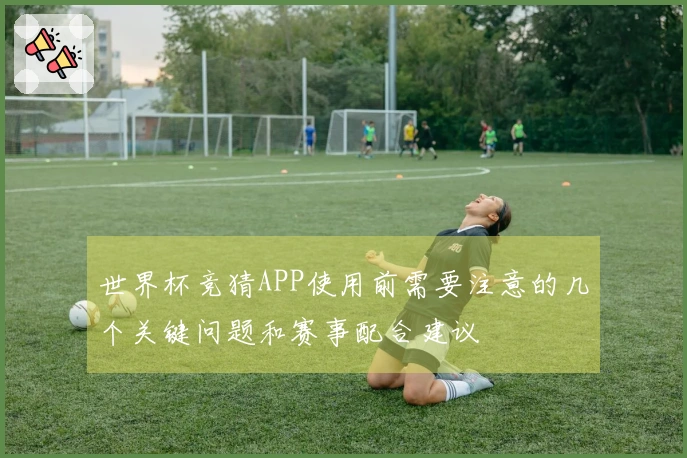 世界杯竞猜APP使用前需要注意的几个关键问题和赛事配合建议