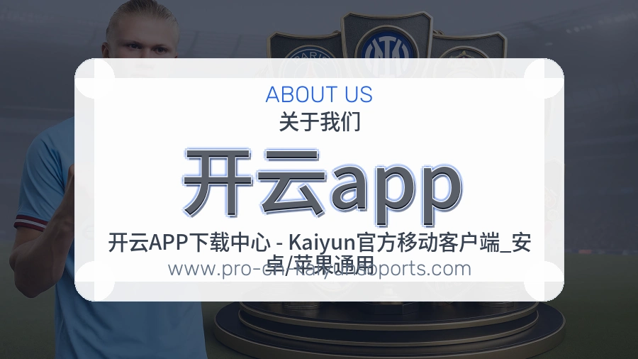 结构清晰